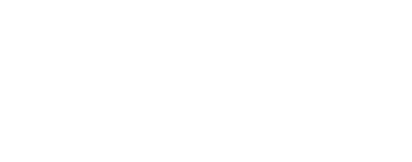 Bonis Burger
